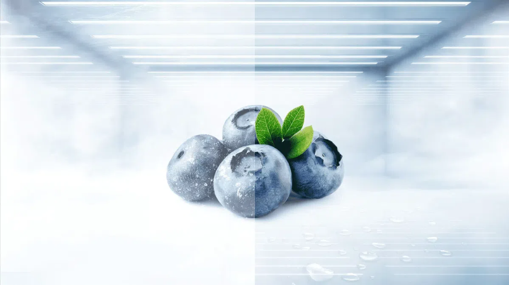  Homogeneous and frost-free cooling. Optimal food preservation and end of the defrosting chore.